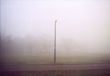 Nebel